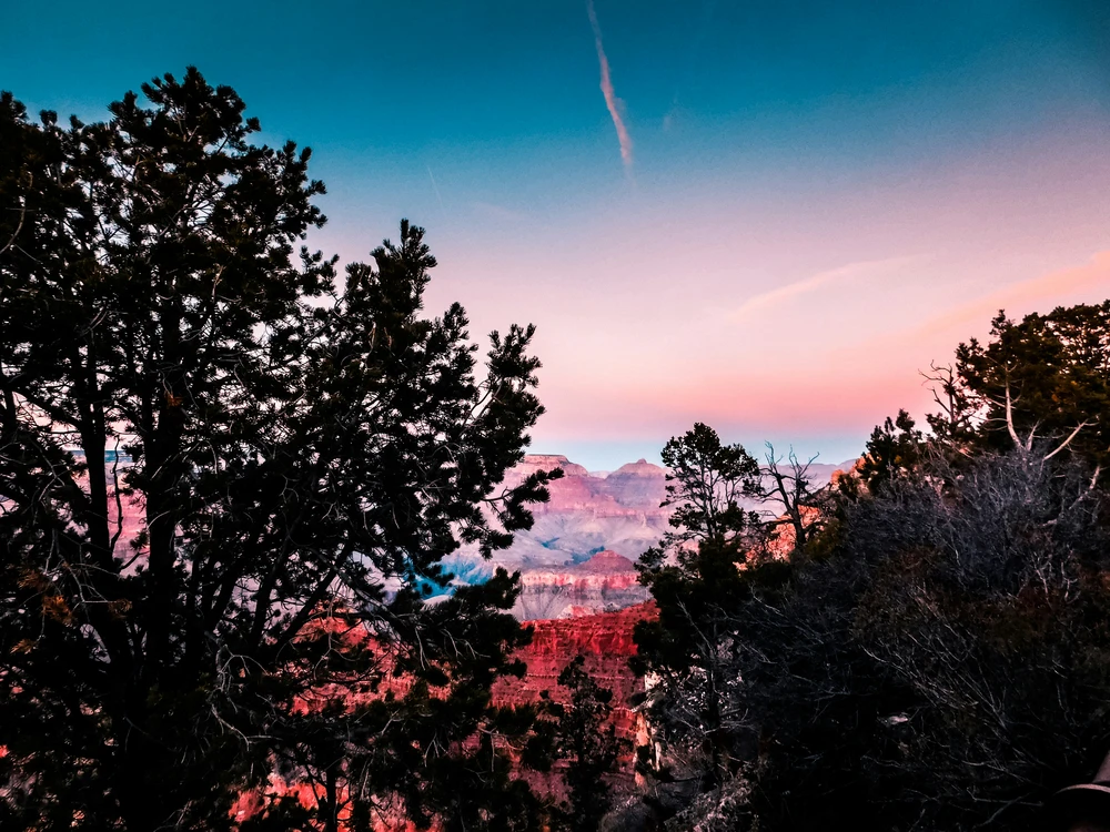 Top 4 US Travel Spots