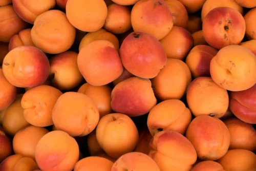 A selection of apricots