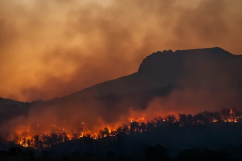Fire as a symptom of climate change