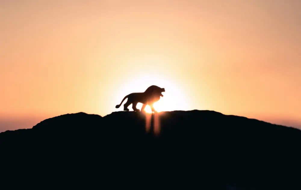 The Best and Worst Leo Traits to Recognize this Leo Season