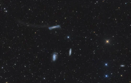 Leo stars
