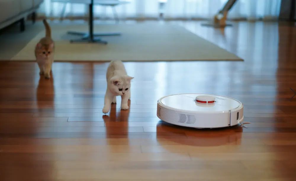 Best Robot Vacuums On a Budget in 2026