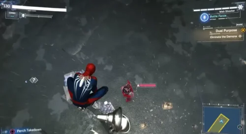 Peter on a mission
